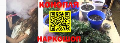 индика Бузулук